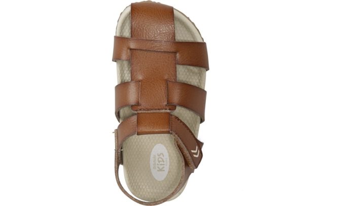 Dr Scholl's Larson Sandal Larson Sandal Brown | sMdFf95C