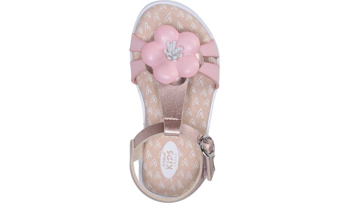 Dr Scholl's Pennelope Sandal Pennelope Sandal Pink | 5XwQ0XeF